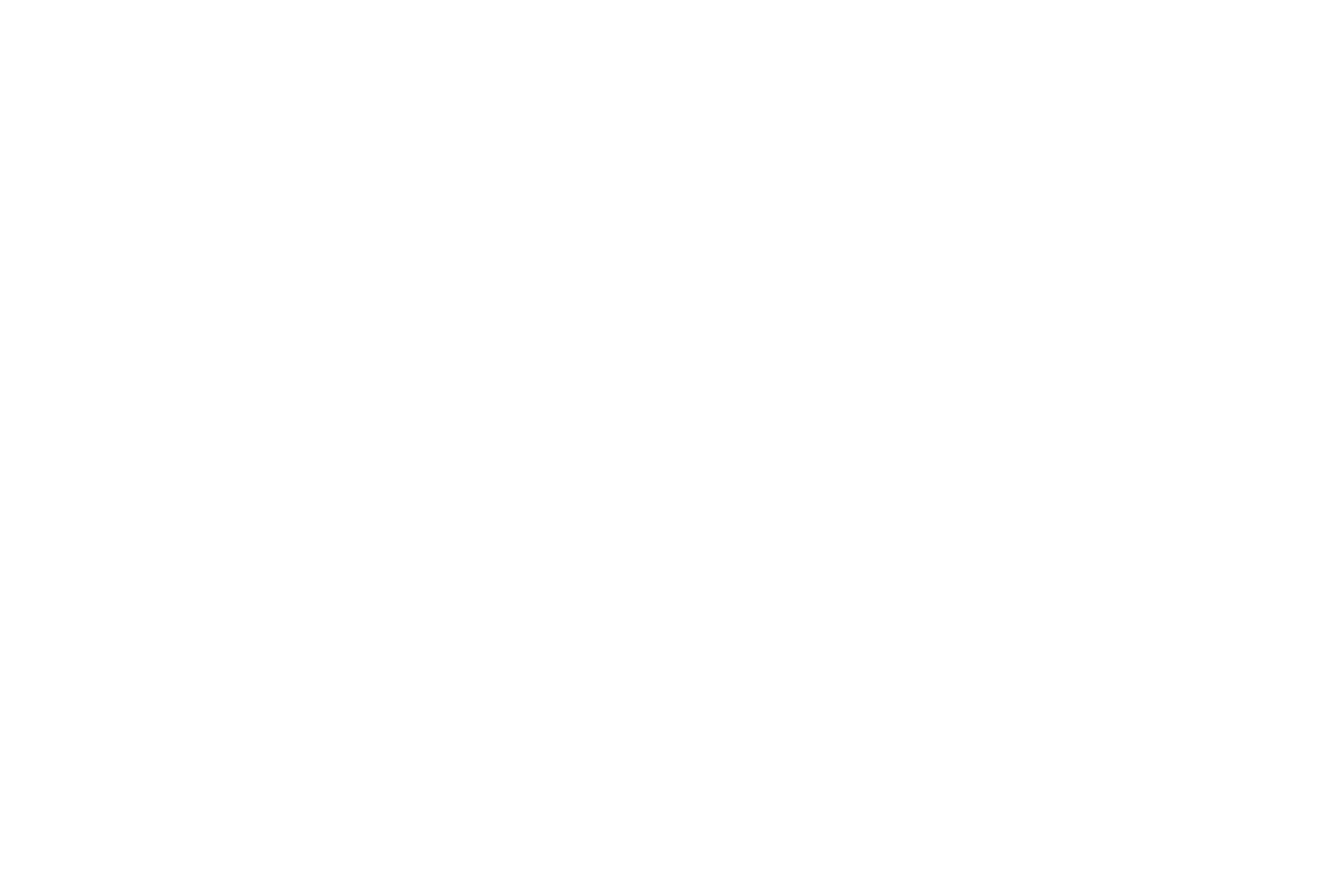 EZ Car Protect